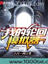 我的轮回模拟器图片