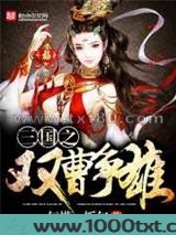 三国之双曹争雄图片