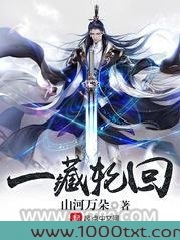 一藏轮回图片