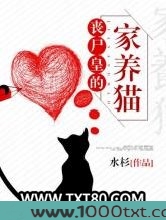 丧尸皇的家养猫图片