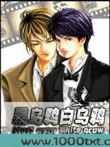 黑乌鸦白乌鸦图片