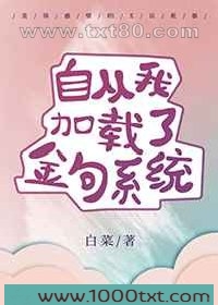 自从我加载了金句系统图片