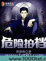 危险拍档图片
