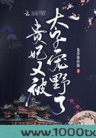 贵妃又被太子宠野了图片