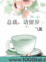 总裁，请留步图片