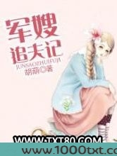 军嫂追夫记图片