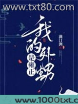 我的外甥是雍正图片