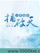 一不小心捅破天图片