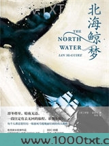 北海鲸梦图片