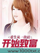 重生从一块砖开始致富图片