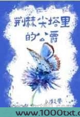 荆棘尖塔里的公爵图片