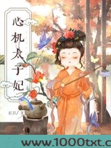 心机太子妃图片
