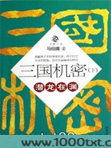 三国机密（下）：潜龙在渊图片