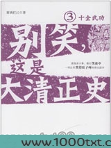 别笑，这是大清正史3