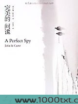 完美的间谍图片
