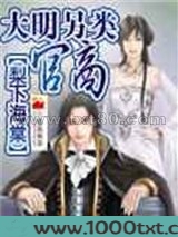 大明另类官商图片
