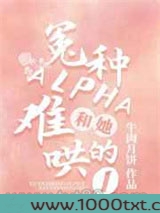 冤种Alpha和她难哄的O图片