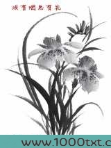 没有烟总有花
