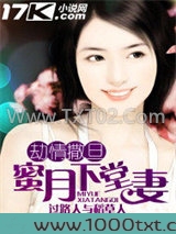 劫情撒旦：蜜月下堂妻图片
