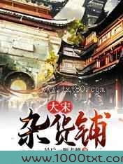 大宋杂货铺图片