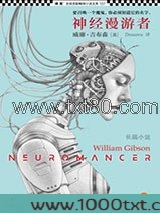 神经漫游者图片