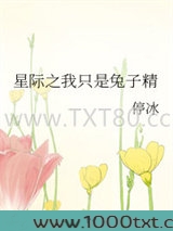 星际之我只是兔子精图片