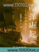 铁血残明之南洋崛起图片