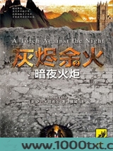 灰烬余火2：暗夜火炬图片