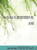 中也每天都想喂胖我图片