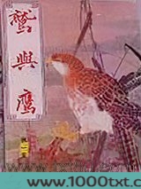 鹫与鹰