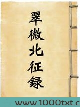 翠微先生北征录图片