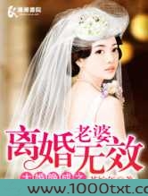 大婚晚成之老婆离婚无效图片