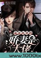 秦爷怀里的娇妻是大佬图片