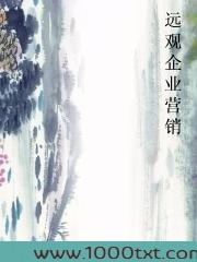 远观企业营销