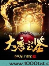 大唐宝鉴图片
