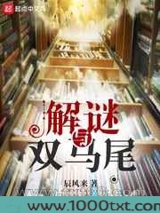 解谜与双马尾图片