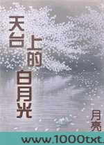 天台上的白月光