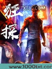 狂探图片