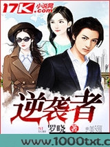 逆袭者图片