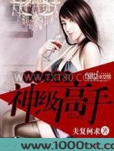 极品总裁的神级高手图片