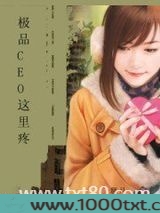 极品CEO这里疼图片