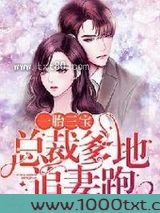 一胎三宝：总裁爹地追妻跑图片