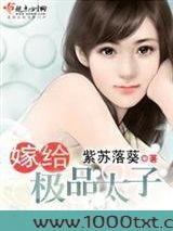 嫁给极品太子图片