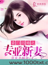 豪门闪婚之专业新妻
