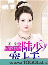 闪婚契约:陆少宠妻上天图片