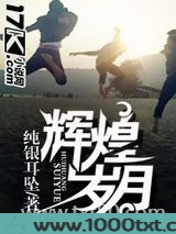 辉煌岁月图片
