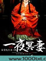一夜冥妻图片
