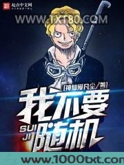 随机从海贼开始图片
