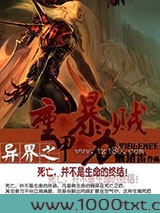 异界之重甲暴力贼图片