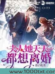 夫人她天天都想离婚图片
